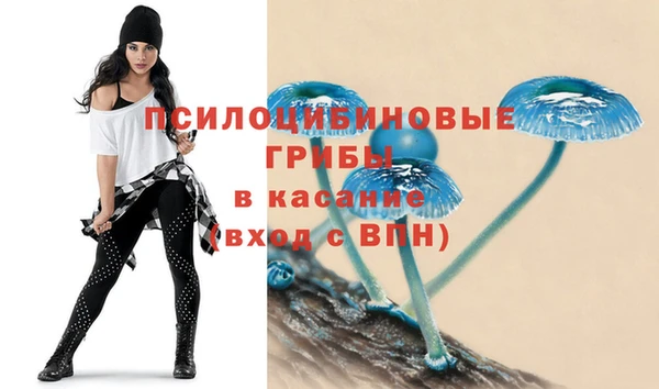 дмт Бронницы
