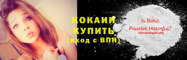 индика Бородино