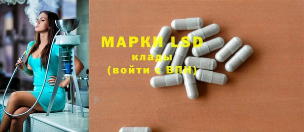 индика Бородино