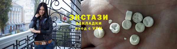индика Бородино