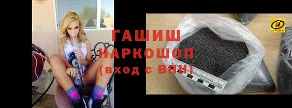 индика Бородино