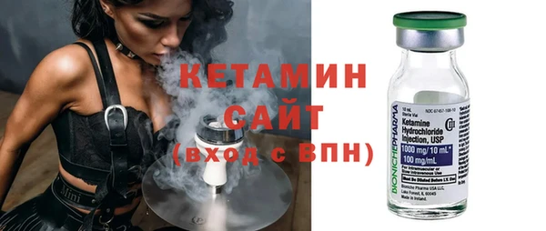 индика Бородино