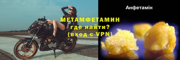 индика Бородино