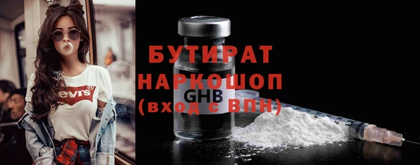 индика Бородино