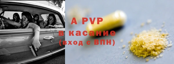 индика Бородино