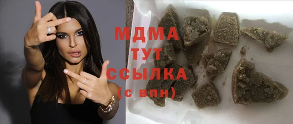 индика Бородино