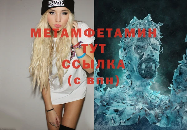 индика Бородино