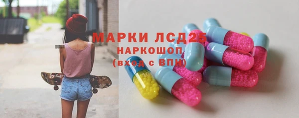 индика Бородино