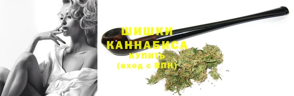 индика Бородино