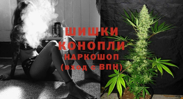 индика Бородино