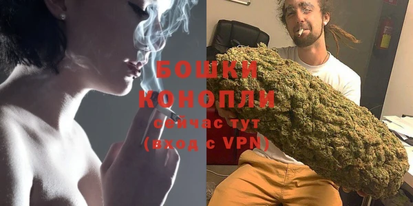 индика Бородино