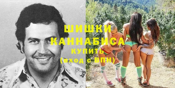 индика Бородино