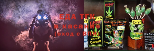 индика Бородино