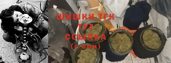 индика Бородино