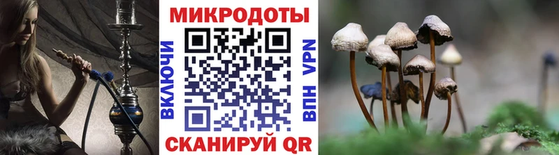 Купить закладки  Кстово  Псилоцибиновые грибы мицелий 